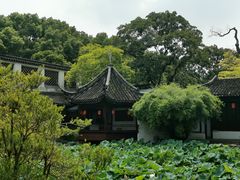 -上海醉白池公园