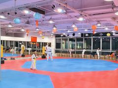 -陈中跆拳道(中关村馆)