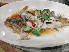 -顺意·顺德家乡菜(国际人才大厦店)