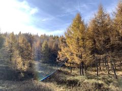 -塞罕坝国家级自然保护区