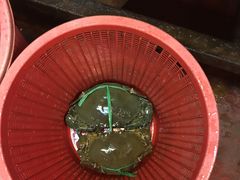 -ZF Seafood Restaurant 卓峰海鲜餐