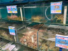 -琼大师东方烤乳猪(亚特兰蒂斯店)