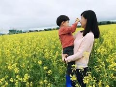 -张北坝上草原
