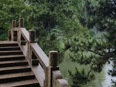-上海醉白池公园
