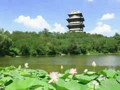 -卧龙湖