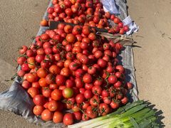 -雪绒花路停车场