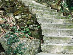 -梧桐山风景名胜区