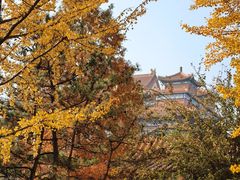 -大明幻境第一城