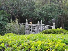 -深圳国际园林花卉博览园