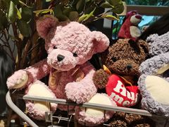 -咖法森林·咖啡  酒吧(天河店)