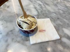 曲奇香奶口味冰淇淋-哈根达斯(朝阳大悦城店)
