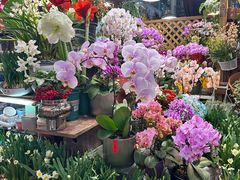 -双季花艺园艺市场(浦东店)