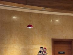 -南京禄口机场雅高铂尔曼大酒店