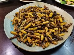 -缘生态云南菜·野生菌庭院餐厅(华侨城店)