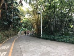 -中山公园(石岐街道)