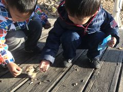 -莫尔道嘎国家森林公园