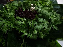-臻牧壹品雪花牛肉火锅(大兴九臻店)
