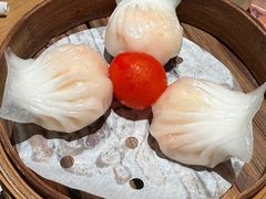 -茶港·点心·啫啫煲(群光广场店)