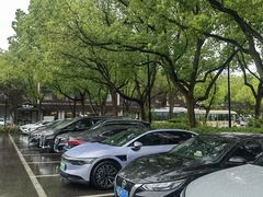 -乌镇西栅景区·1号停车场