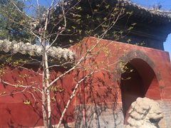 -红螺寺