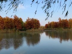 -梁鸿国家湿地公园