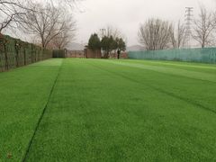 -亲兄弟真人CS团建拓展基地