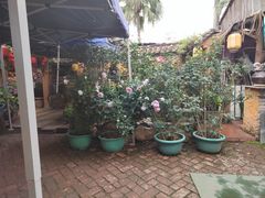 -园林美食城·本土农家菜(杨和镇店)