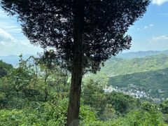 -东天目山风景区