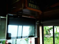 -西湖游船