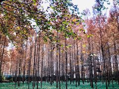 -河南省黄河迎宾馆