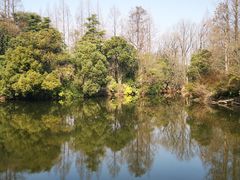 -上海滨江森林公园