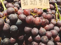 -乐乐鲜果水果超市(河北店)