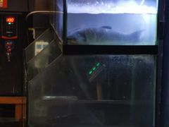 -熊记火盆景鱼火锅(永庆路店)
