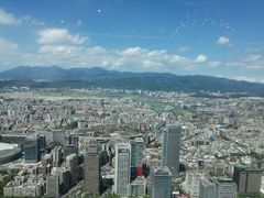 -顶鲜101美食美景餐厅