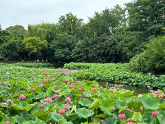 -成都市文化公园