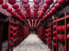 -1937青岛老味道·海肠捞饭·青岛菜(大鲍岛栈桥店)