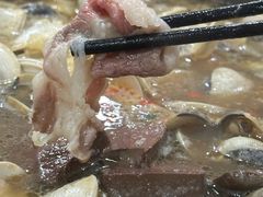 -顺德哥卜卜贝(旗舰店)