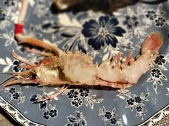 深海鳌虾-蓝瓶子BlueBottle(东瓯智库店)