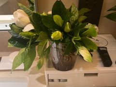 -武汉马哥孛罗酒店