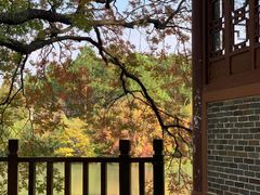 -八大山人梅湖景区