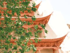 -敦煌莫高窟