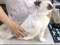 -宠颐生宠物医院(·宠保定点·鹰潭分院)