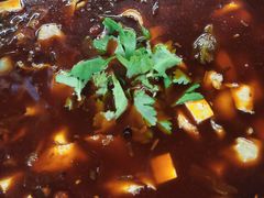 花莲鱼火锅-云溪河冷锅鱼(成都玉林小吃街店)