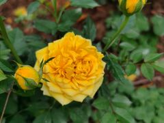 -人民公园(罗湖区)