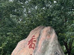 -香山公园