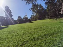 -墨尔本皇家植物园