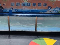-秦皇岛新澳海底世界