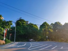 -铁山坪森林公园