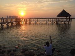 -瑶湖郊野森林公园