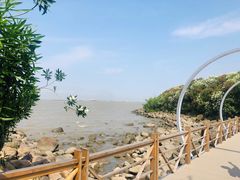 -上海吴淞炮台湾国家湿地公园